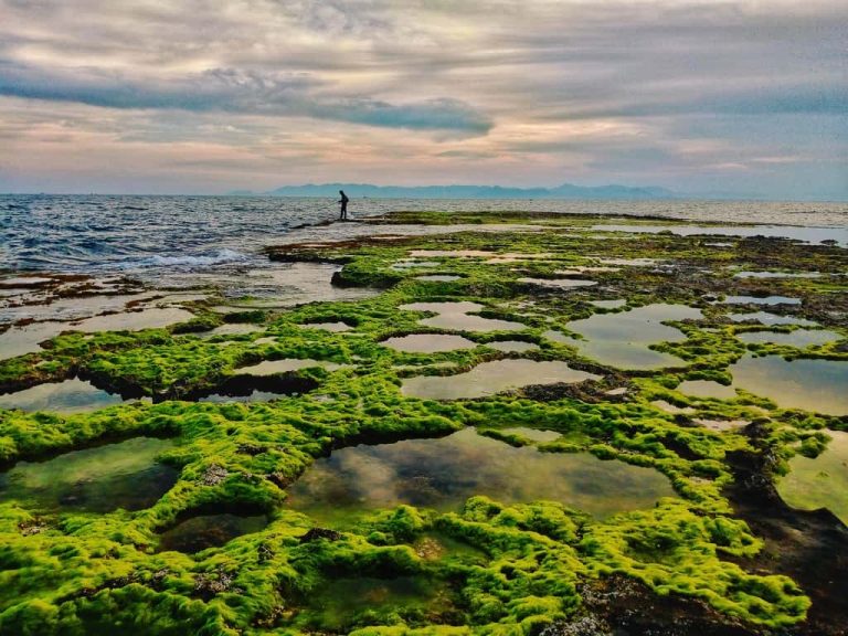 Ninh Thuận dự kiến đón 3,5 triệu lượt khách năm 2025