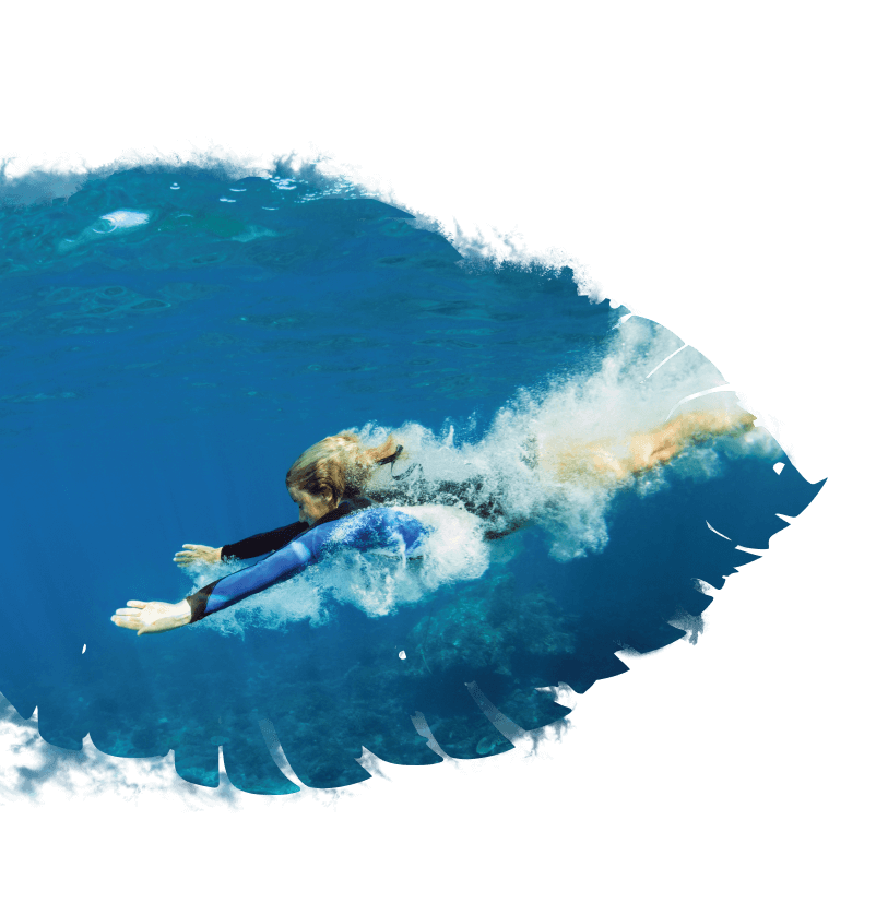 Meyhomes Capital Landing C 8