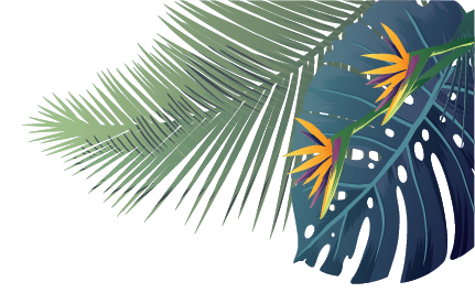 Meyhomes Capital Landing C 4