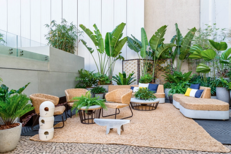 35 loại cây phong thủy trong nhà giúp gia chủ thu hút tài lộc