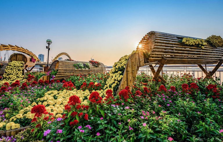 7 loại hoa ngày Tết mang lại nhiều may mắn