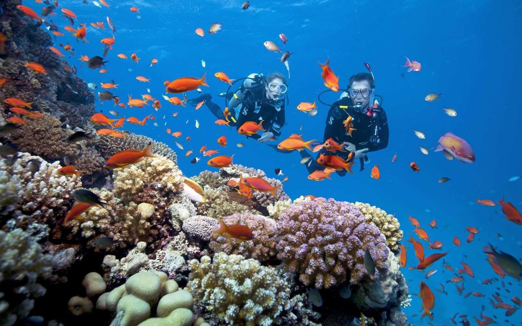 Hòn Thơm nổi tiếng với những rặng san hô nguyên sinh, đẹp mê lòng người