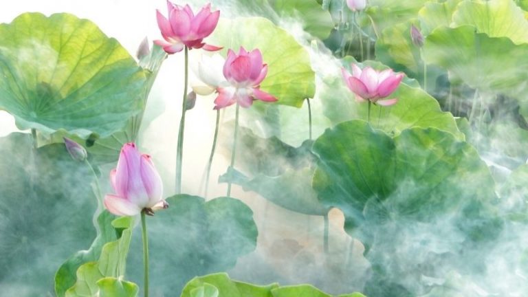 Lời chúc đầu tháng 7 âm lịch 2023 hay và ý nghĩa nhất Lời chúc đầu tháng 7 âm lịch 2023 hay và ý nghĩa nhất