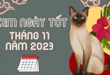 Ngày Đẹp Tháng 11 Năm 2023: Xem Ngày Khai Trương, Cất Nhà Ngày tốt tháng 11 năm 2023
