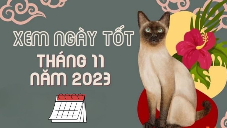 Ngày Đẹp Tháng 11 Năm 2023: Xem Ngày Khai Trương, Cất Nhà Ngày Đẹp Tháng 11 Năm 2023: Xem Ngày Khai Trương, Cất Nhà