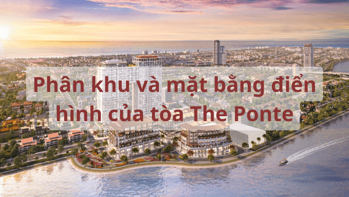 Phân khu và mặt bằng điển hình của tòa The Ponte